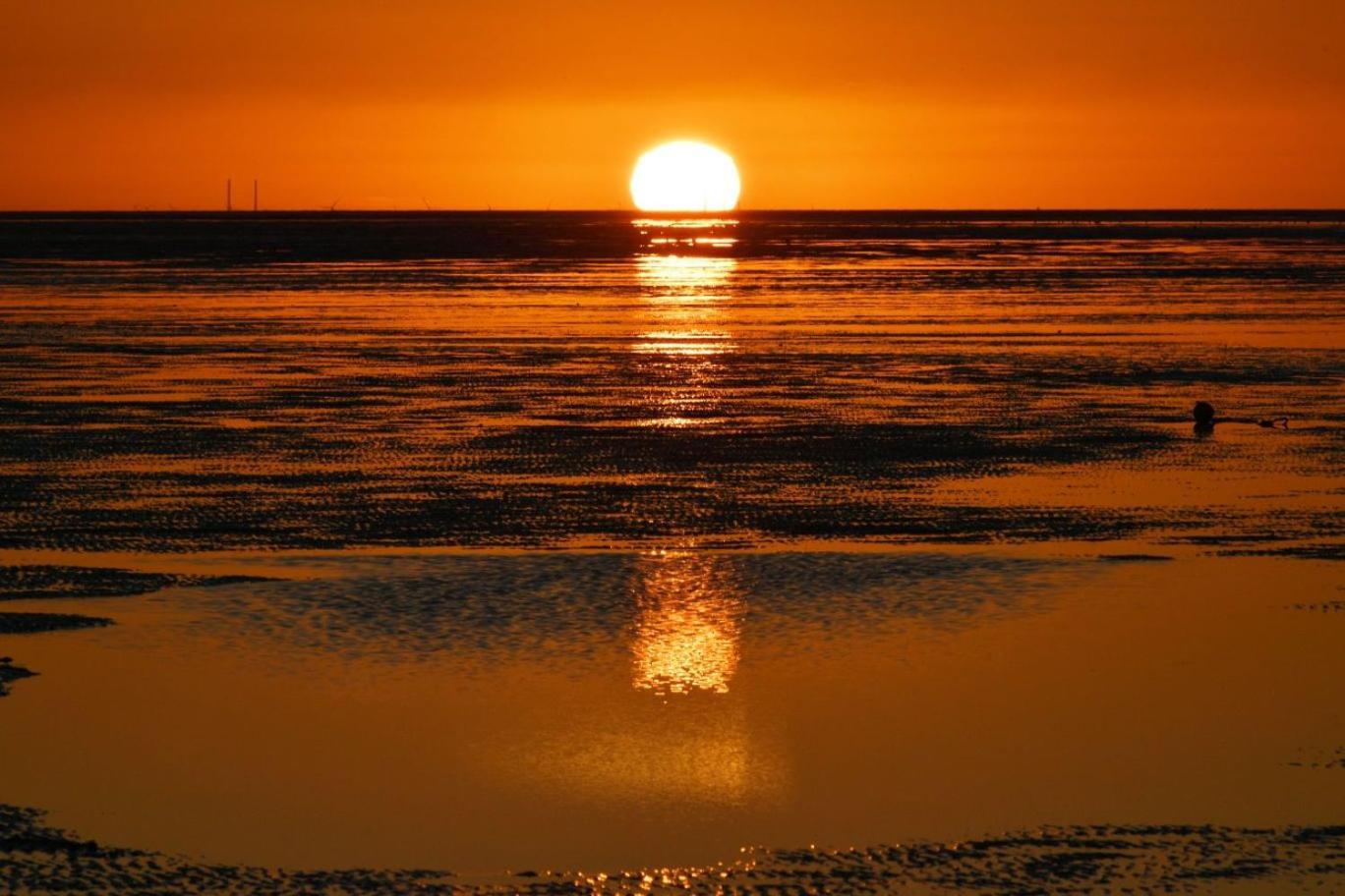 Haus Frauenpreiss F490 Lägenhet Cuxhaven Exteriör bild